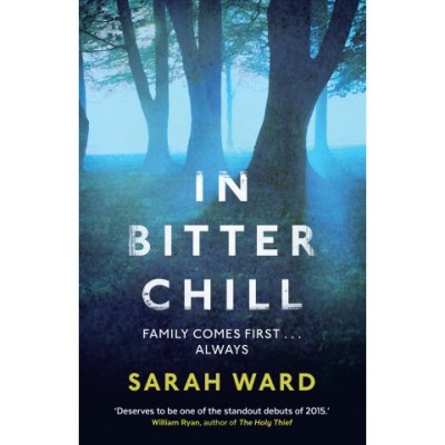 cover in bitter chill dd